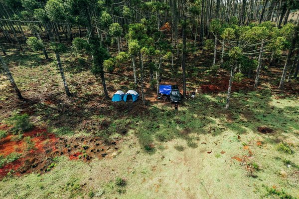 Évitez les Surprises Financières : Guide Pratique pour Échapper aux Frais Cachés en Croisière !
