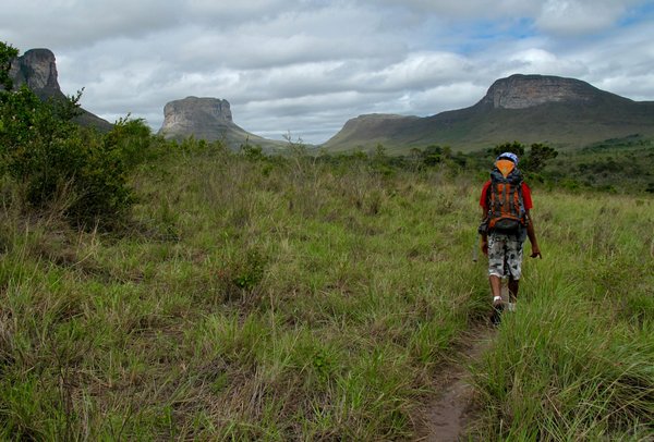 Analyse comparative : MSC Croisières face aux autres compagnies maritimes