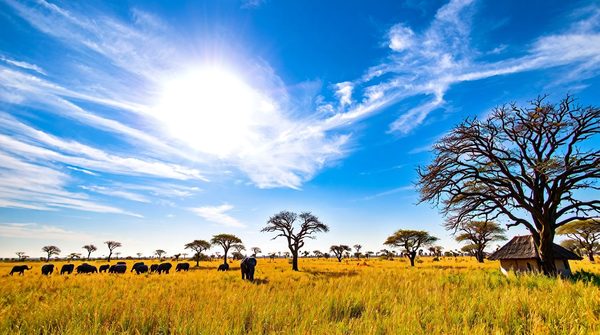 Aventurez-vous en afrique : des vacances riches en découvertes