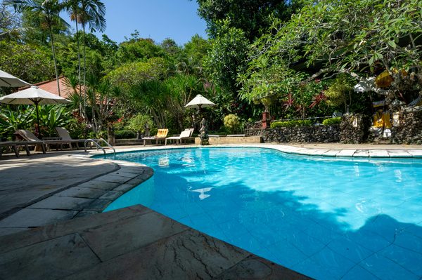 Explorez le charme du camping les grenettes sur l'île de Ré